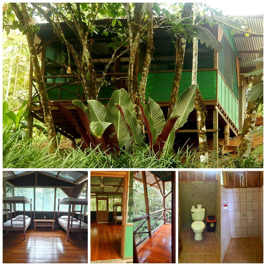 Naguala Jungle Lodge Drakes Bay Esterno foto